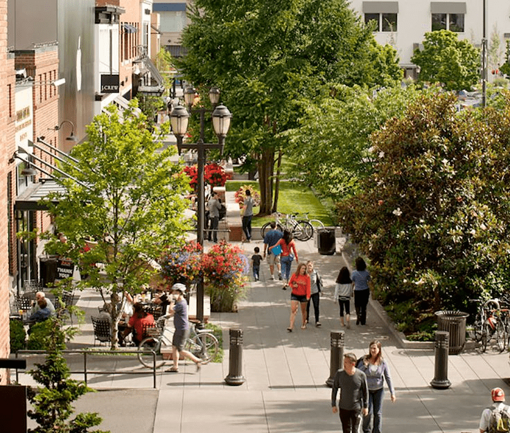 Local1 UniversityVillage 1